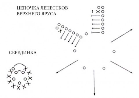 вязаный кактус