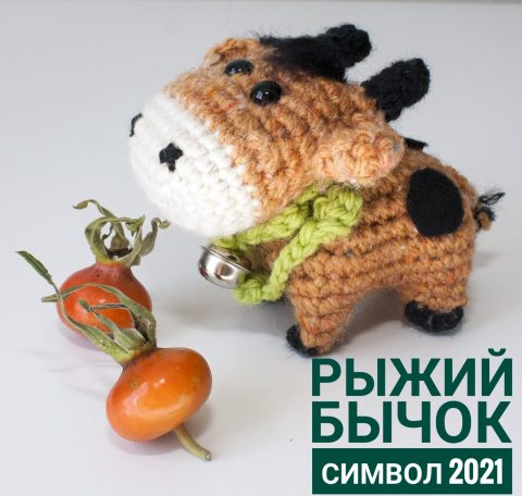 рыжий бычок символ 2021 года от kru4ok.ru